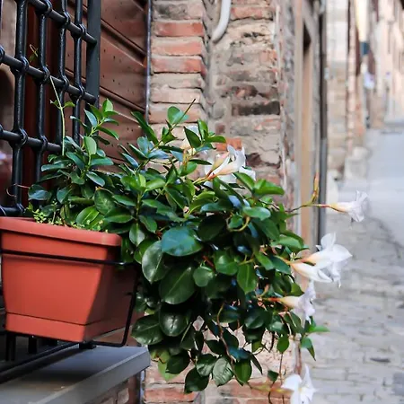 Casa Armanni - La Tua Casa Di Pietra Apartment Gubbio